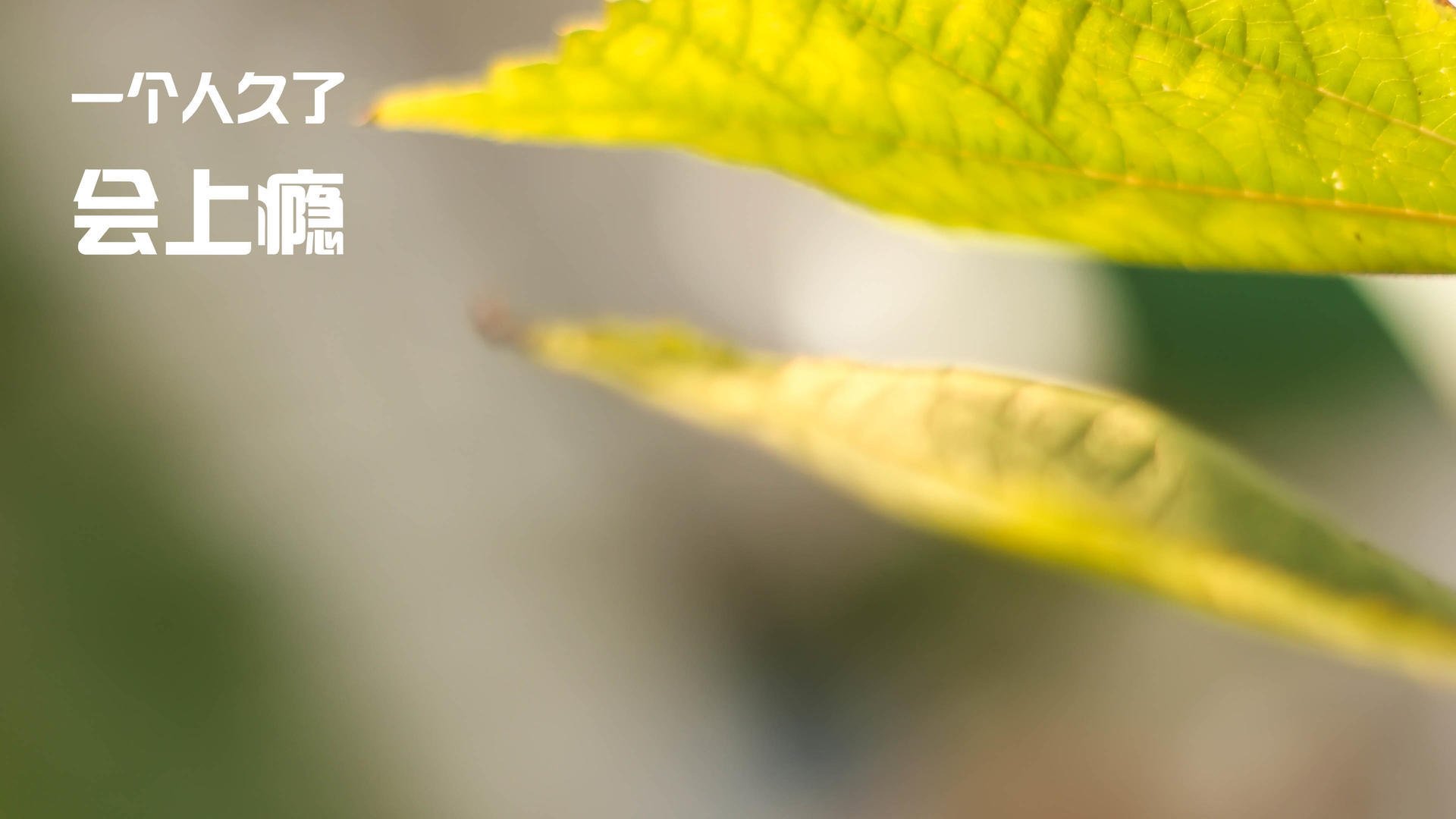 开yun官网-赛季最大悬念：谁能突破传统俱乐部的霸主地位，赛季俱乐部号码