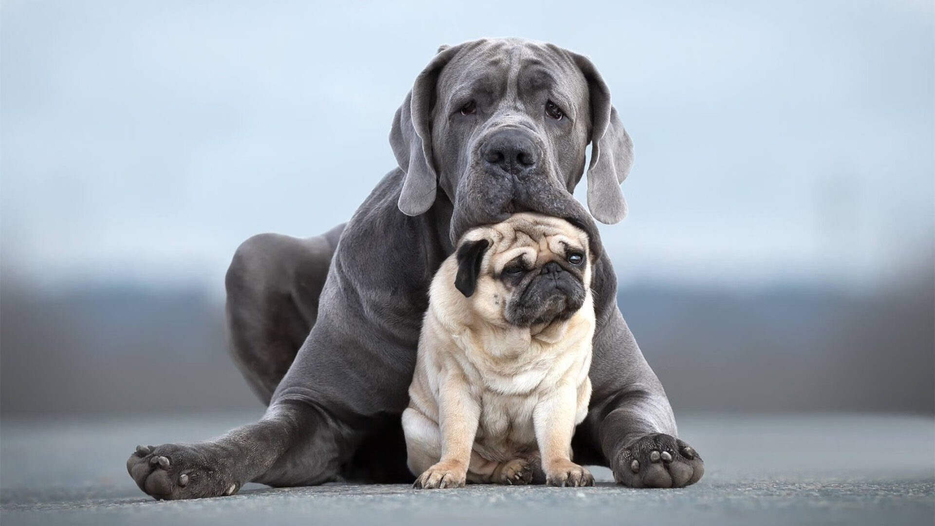 kaiyun 开云体育-足球与环境：绿色场馆的未来发展方向，足球场馆建设