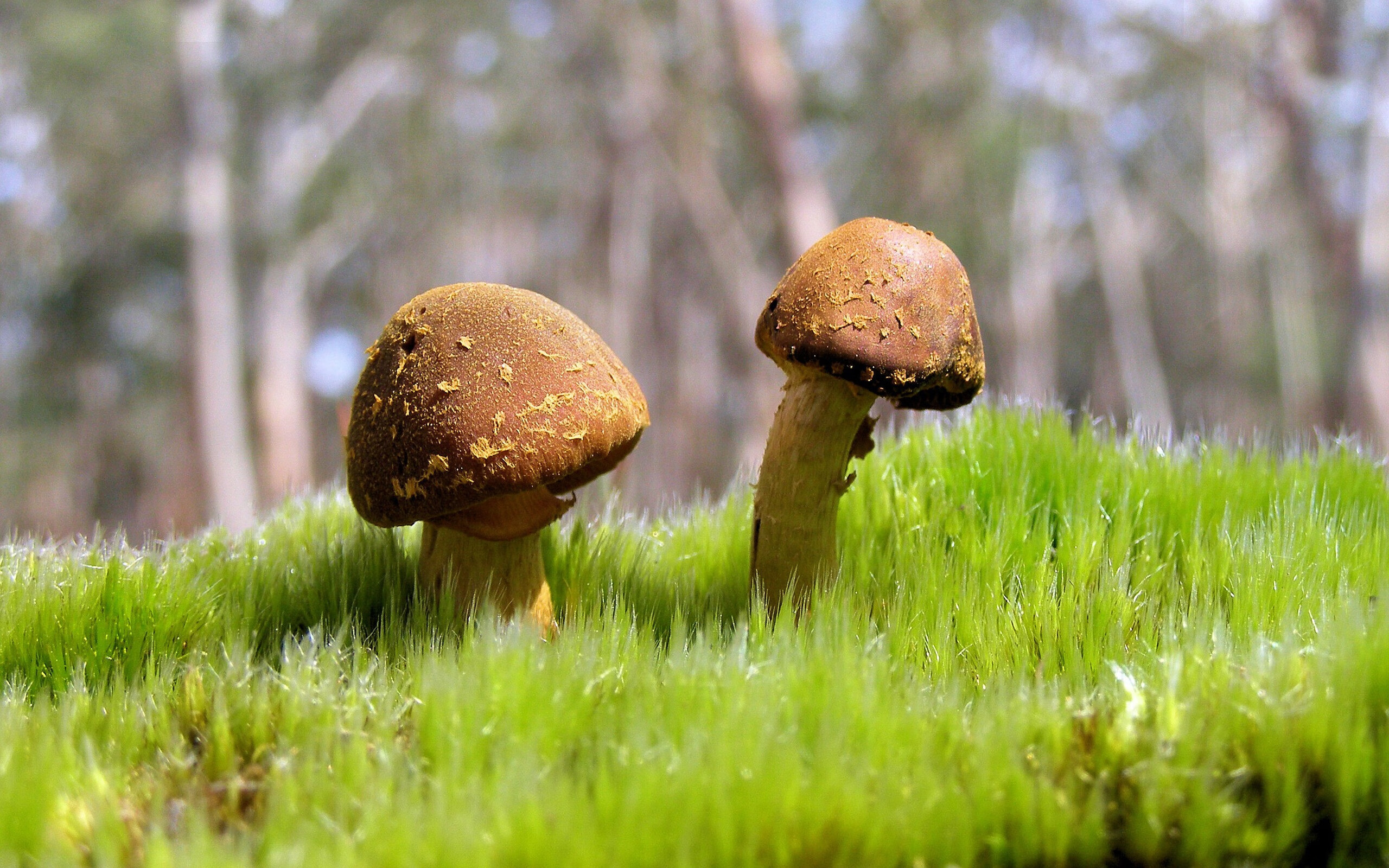 Kaiyun(中国)开云-“不新建”场馆策略，绿色办赛成亮点