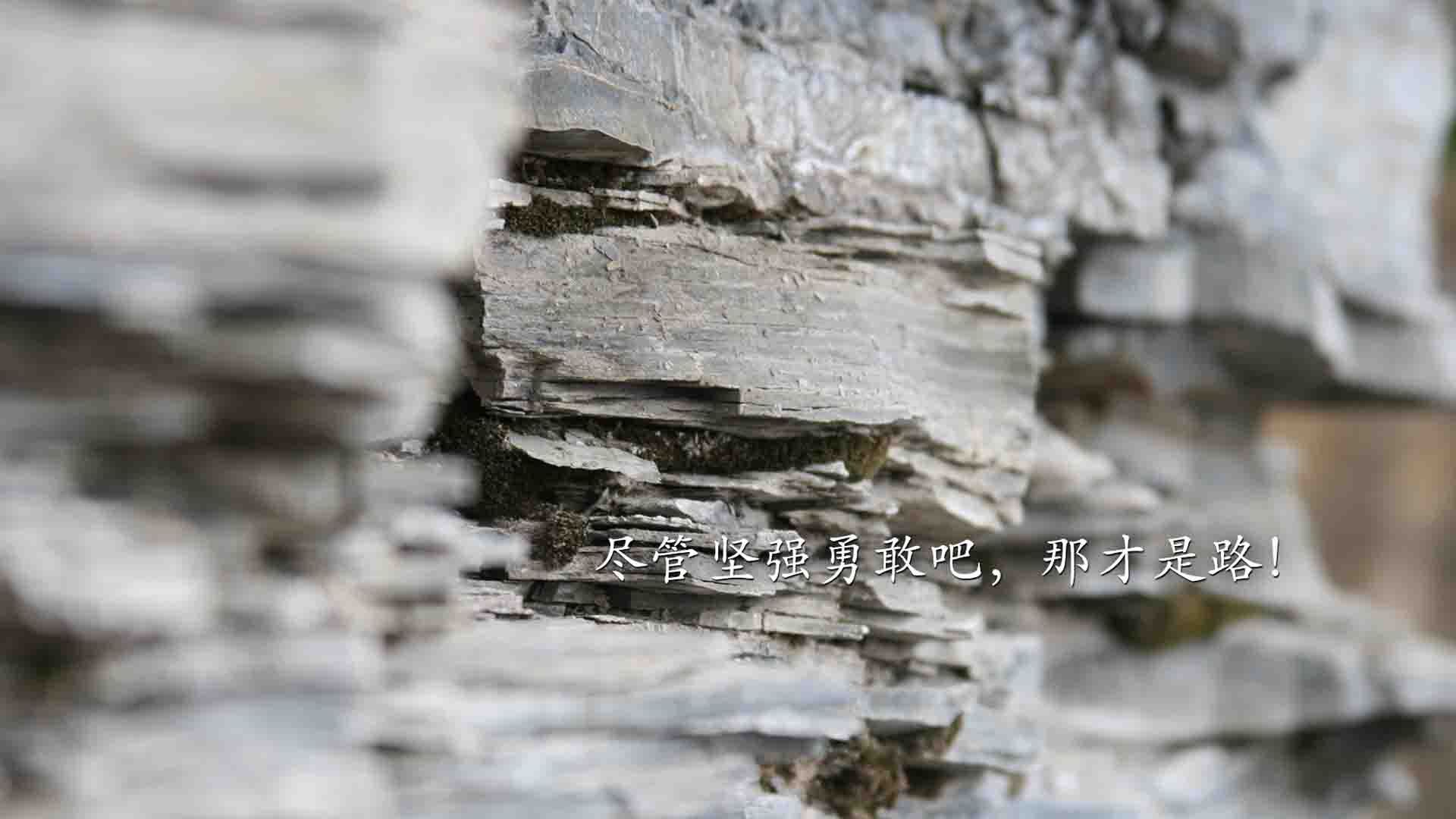 开云竞猜官网-体育营销峰会探讨品牌跨界合作趋势，中国体育营销创新案例