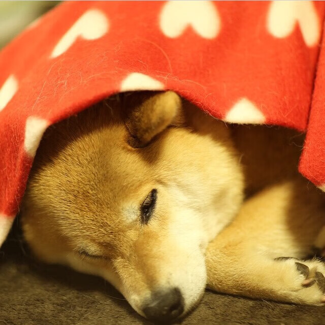 打破常规打法的球队战术特点，打破常规猜一个字