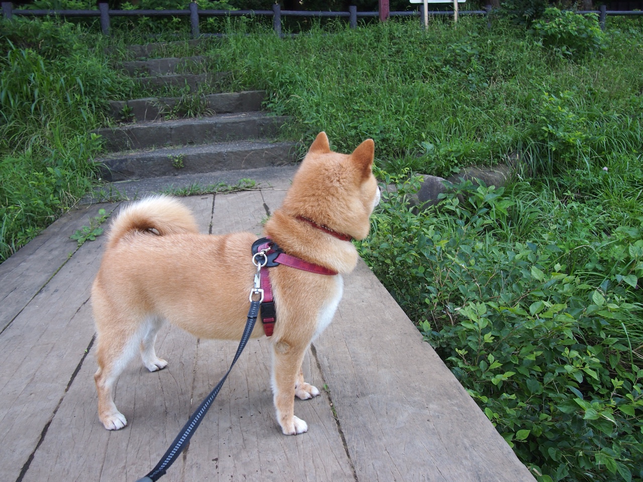 开云体育网页版入口-绝地求生全球总决赛落幕新王登基，绝地求生全球总决赛在哪举行