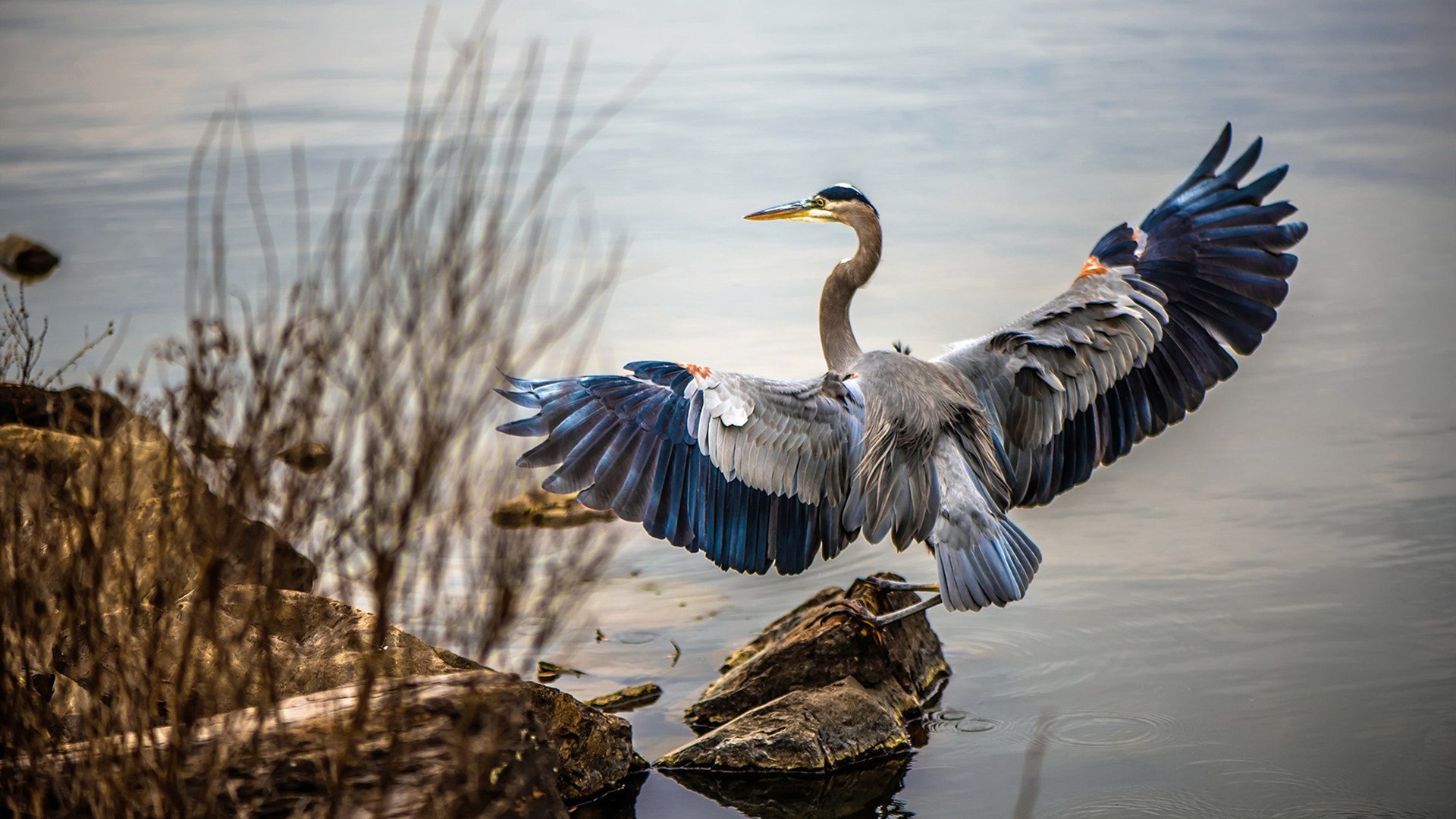 2026年世界杯比赛将采用全景直播技术,球迷身临其境,2026年世界杯球场巡礼