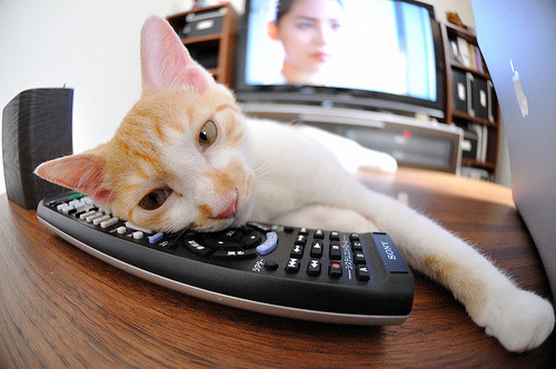 开云注册-乔·莫伊：用强硬的身体和超高的scrum技巧，为全黑队赢得胜利，乔伊简介